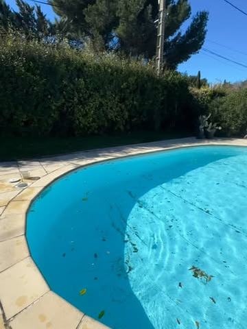 Bassin en forme de haricot pendant un test de pression du skimmer